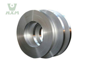 Titanium Gr1 Strip Alloy
